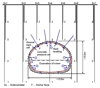 situ-1.gif