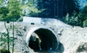 Fig. 2: Shotcrete portal canopy structure carrying the road